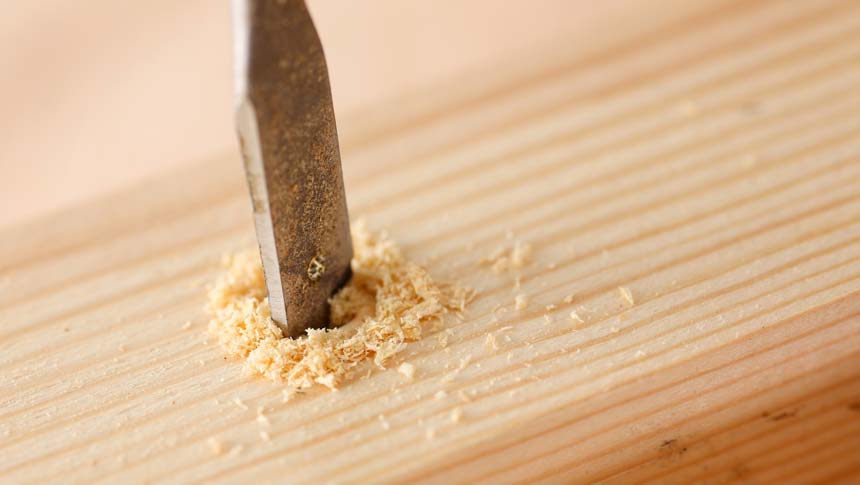Best Drill Bits for Wood